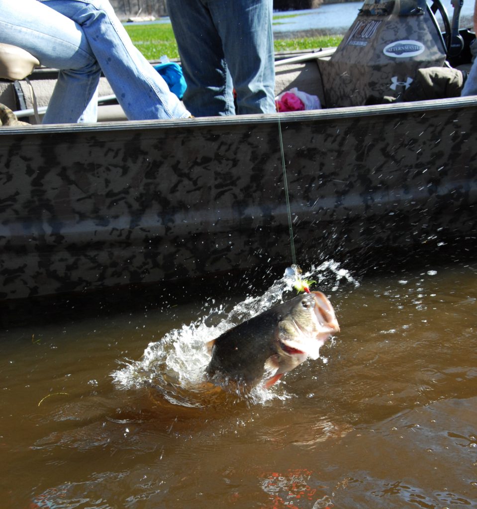 Toby Wilson catches fish - fishing the Black Warrior River